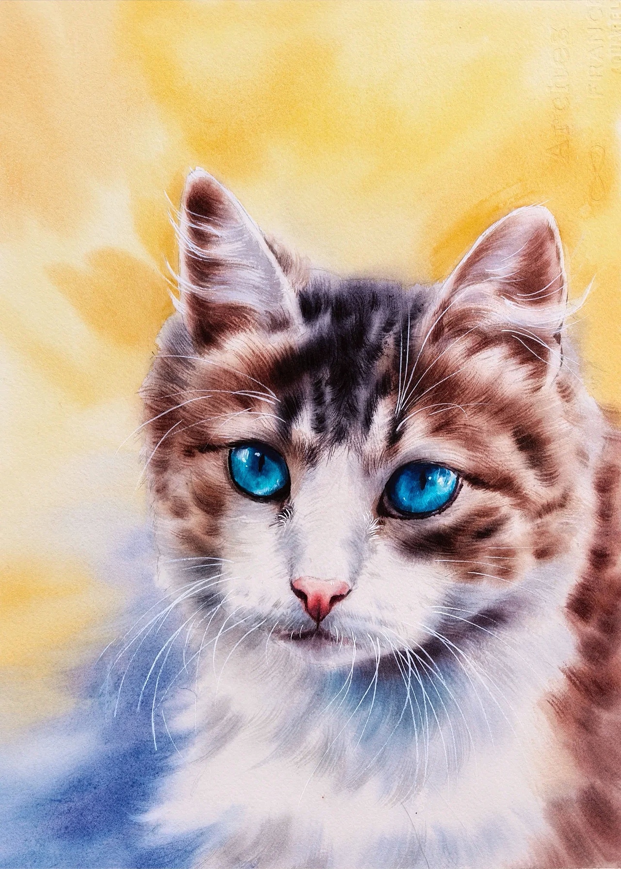 小猫咪的眼睛里有星辰大海