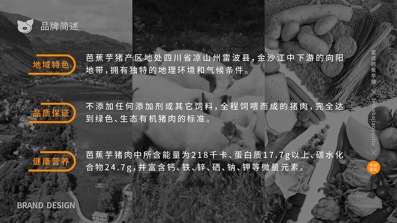 2023-2024设计作品总结（图ZMzk0MzUwNTY0） - 其他平面 - 站酷设计师奶茶全糖少冰原创素材 - 站酷ZCOOL