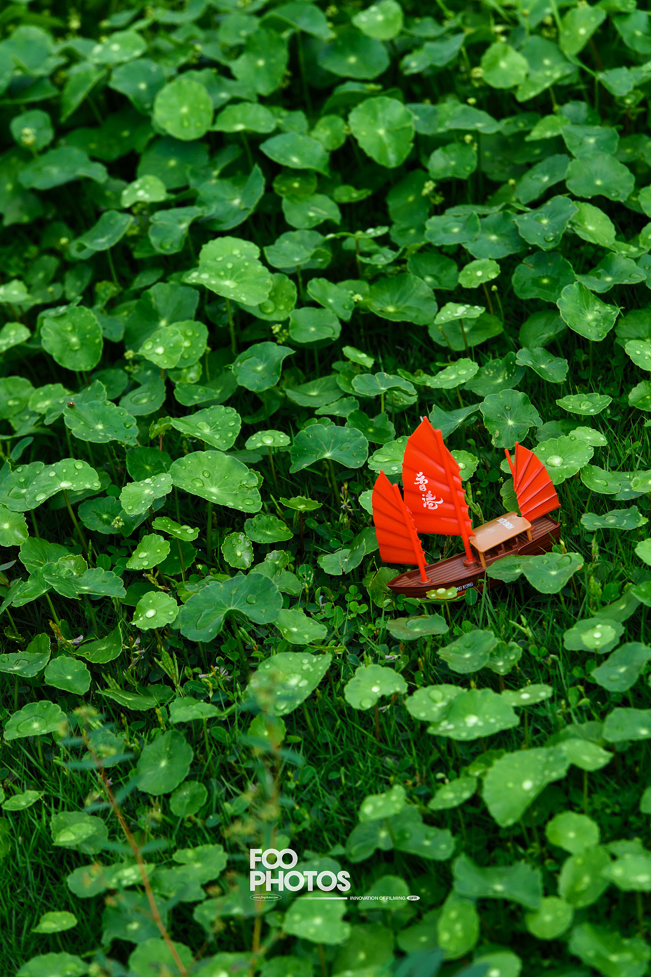 港玩 | 合金玩具模型车 氛围KV