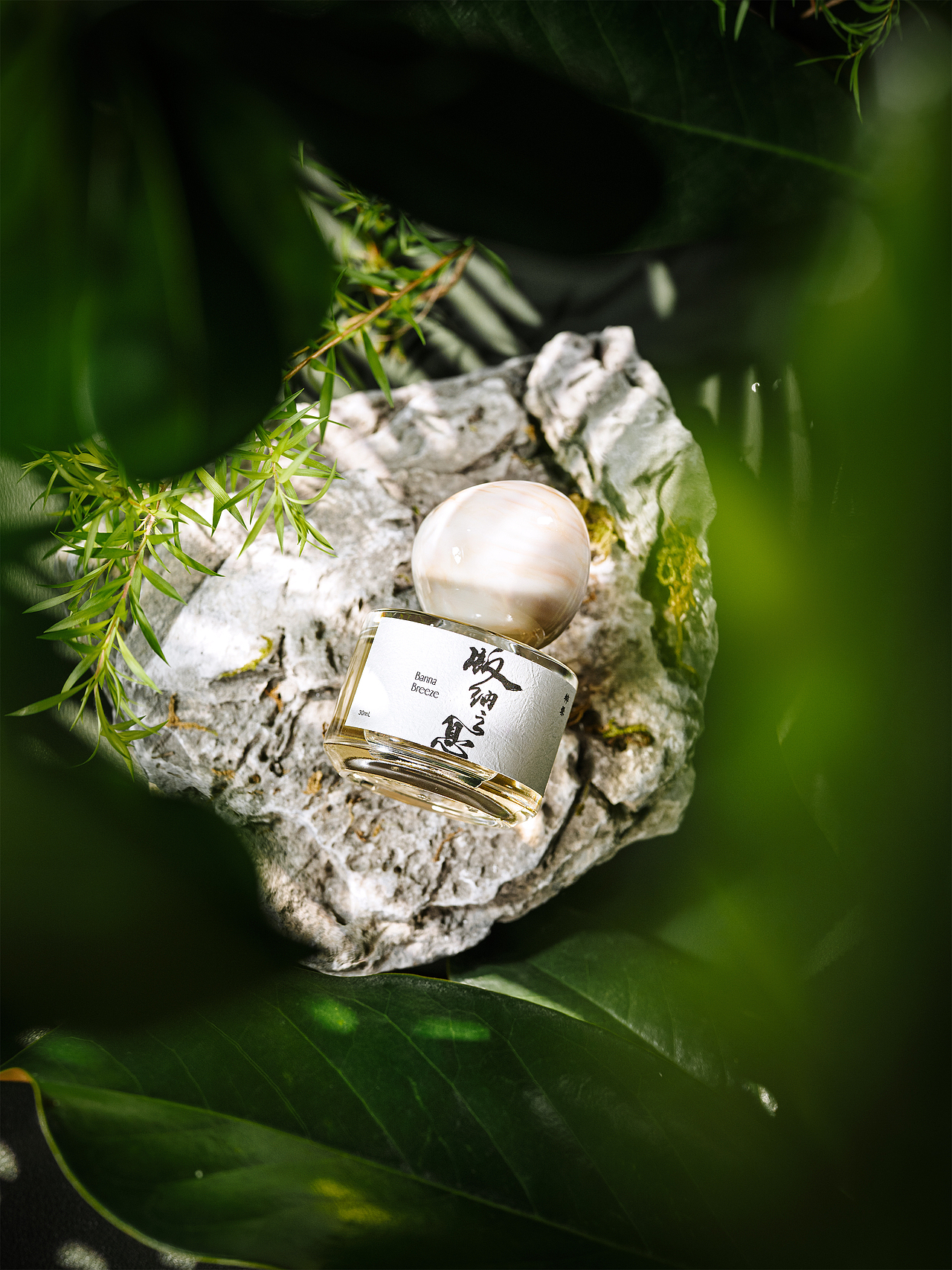 果香香水的热带丛林旅行（图ZMzk0Mzk2MzIw） - 产品摄影 - 站酷设计师JCK设影室原创素材 - 站酷ZCOOL