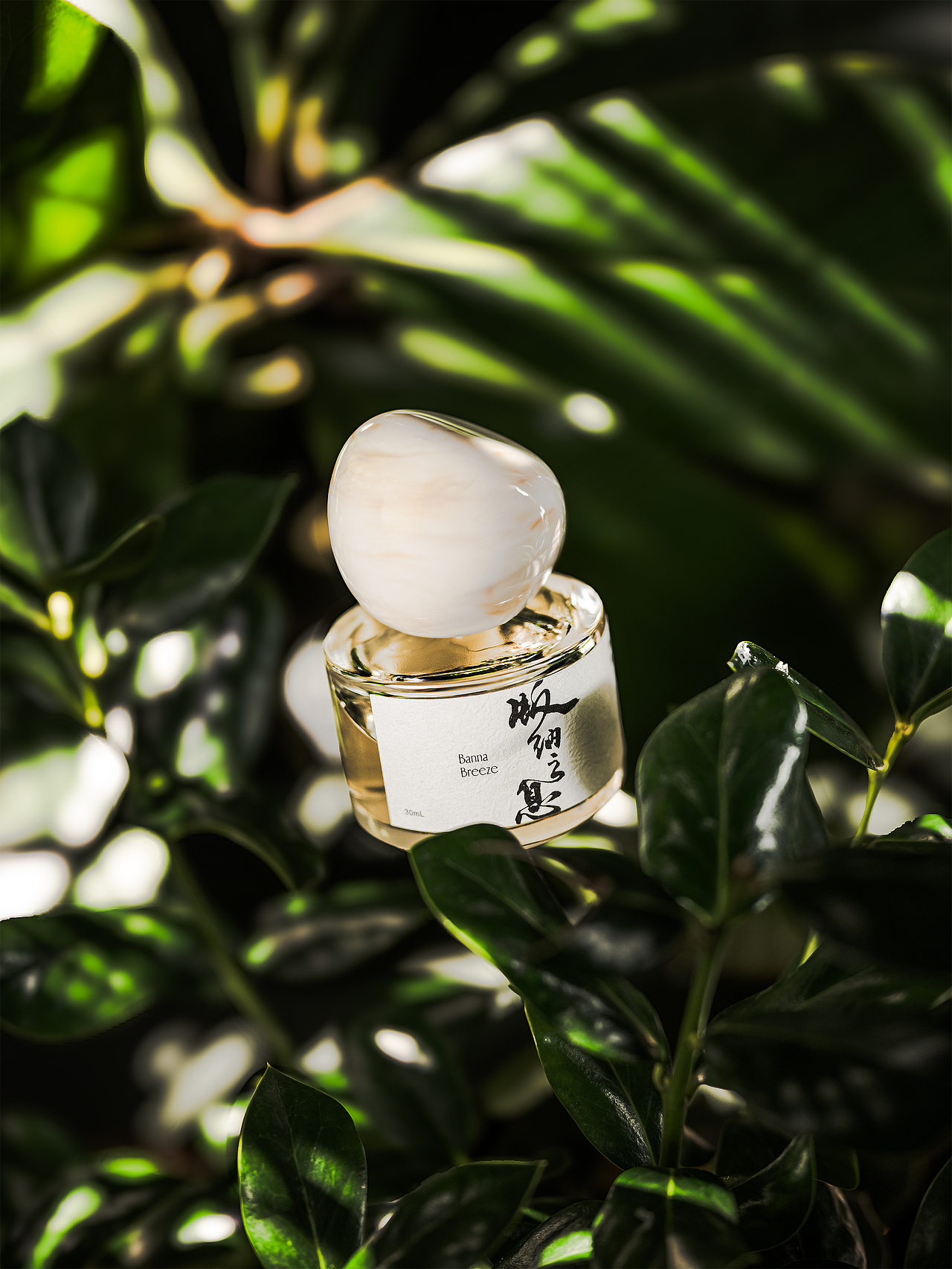 果香香水的热带丛林旅行（图ZMzk0Mzk2MzAw） - 产品摄影 - 站酷设计师JCK设影室原创素材 - 站酷ZCOOL