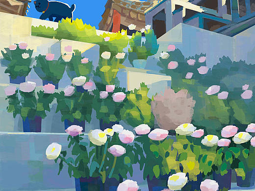 花花草草