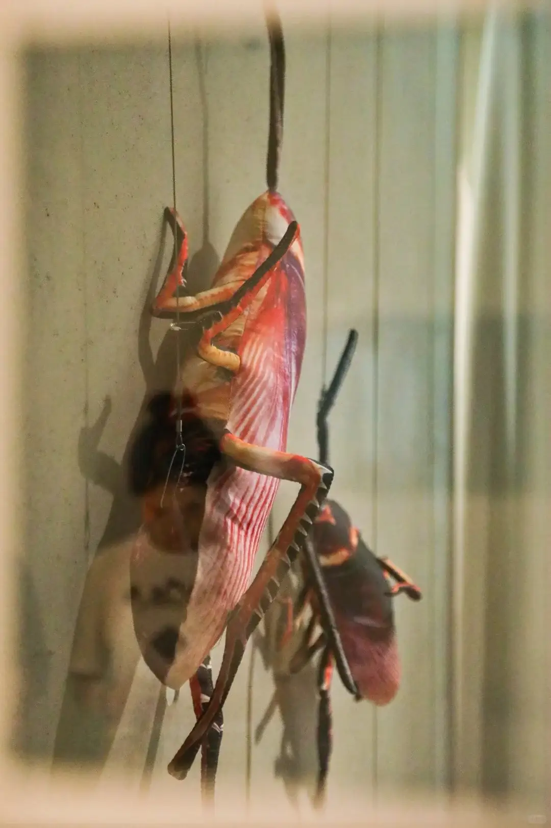 「丑时已到」淘宝丑东西艺术展开幕/权志龙联名LINE FRIENDS/首座宝可梦常设园区将落地