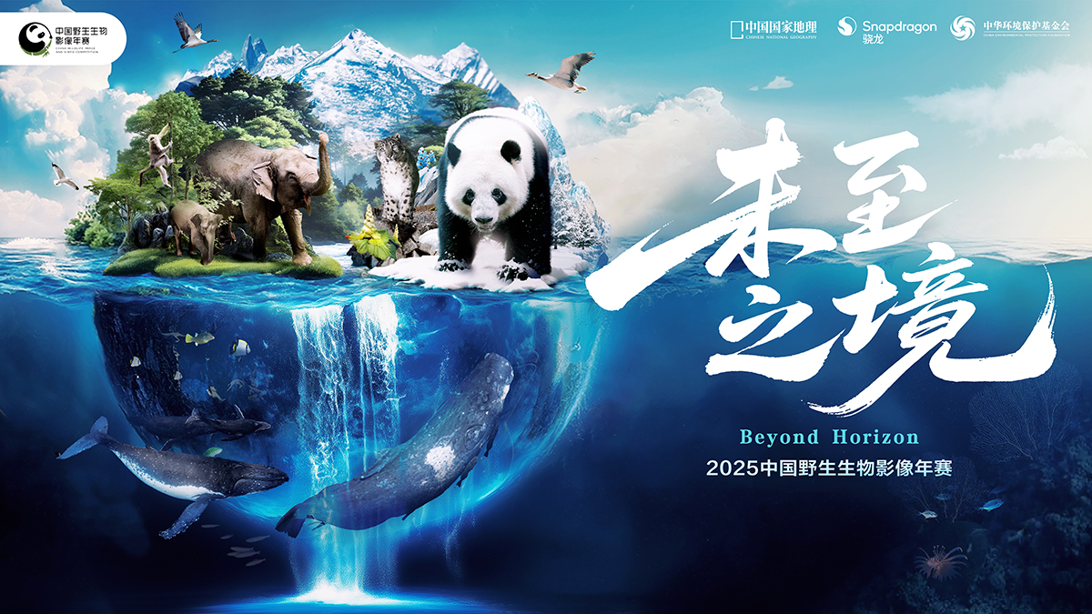 2025中国野生生物影像年赛（图ZMTUxNzQ5MjA=） - 资讯 - 站酷设计师CWIVC影像年赛原创素材 - 站酷ZCOOL