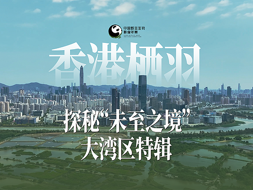 香港米埔，探秘“未至之境”