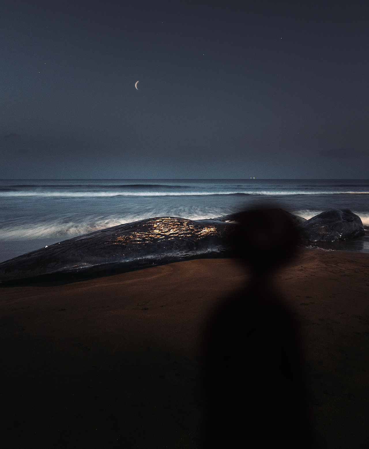 鲸落之岸（图ZMzk0NDUyMTE2） - 风光摄影 - 站酷设计师cVv_原创素材 - 站酷ZCOOL