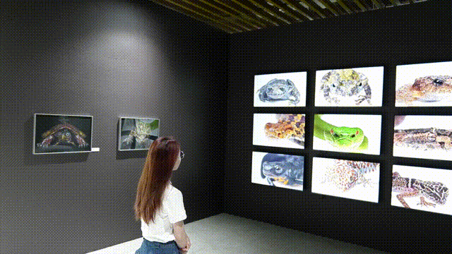 △ 展现形式:多屏幕动态呈现装置