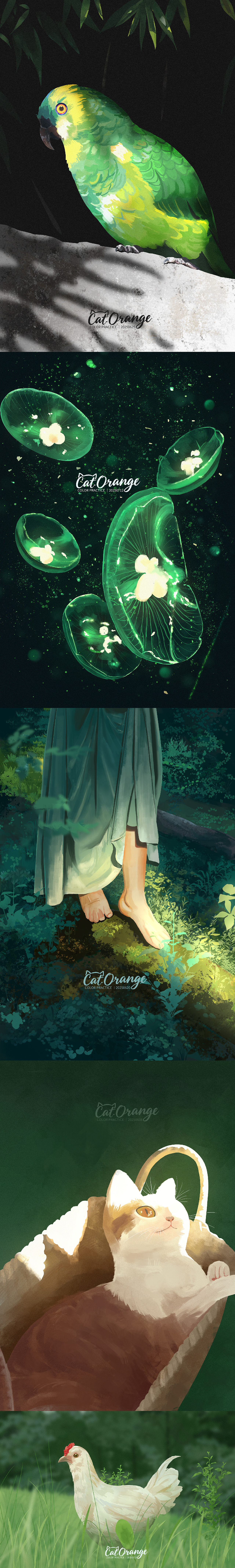 2025年1-7月插画总结