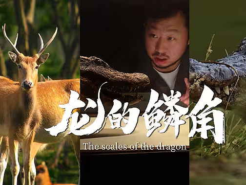 依照《山海经》的线索，我们找到了现实中“龙的鳞角”