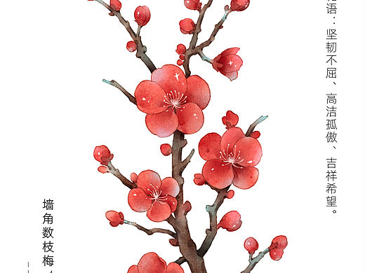 古风水彩花卉 红梅