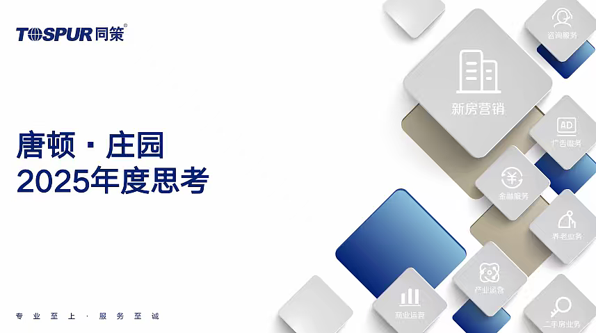 2025唐顿·庄园地产项目别墅年度营销策略案