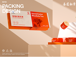 包装-医疗/保健