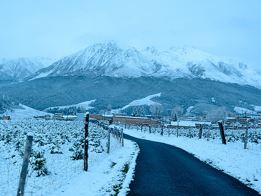 青海祁连｜雪盖大地