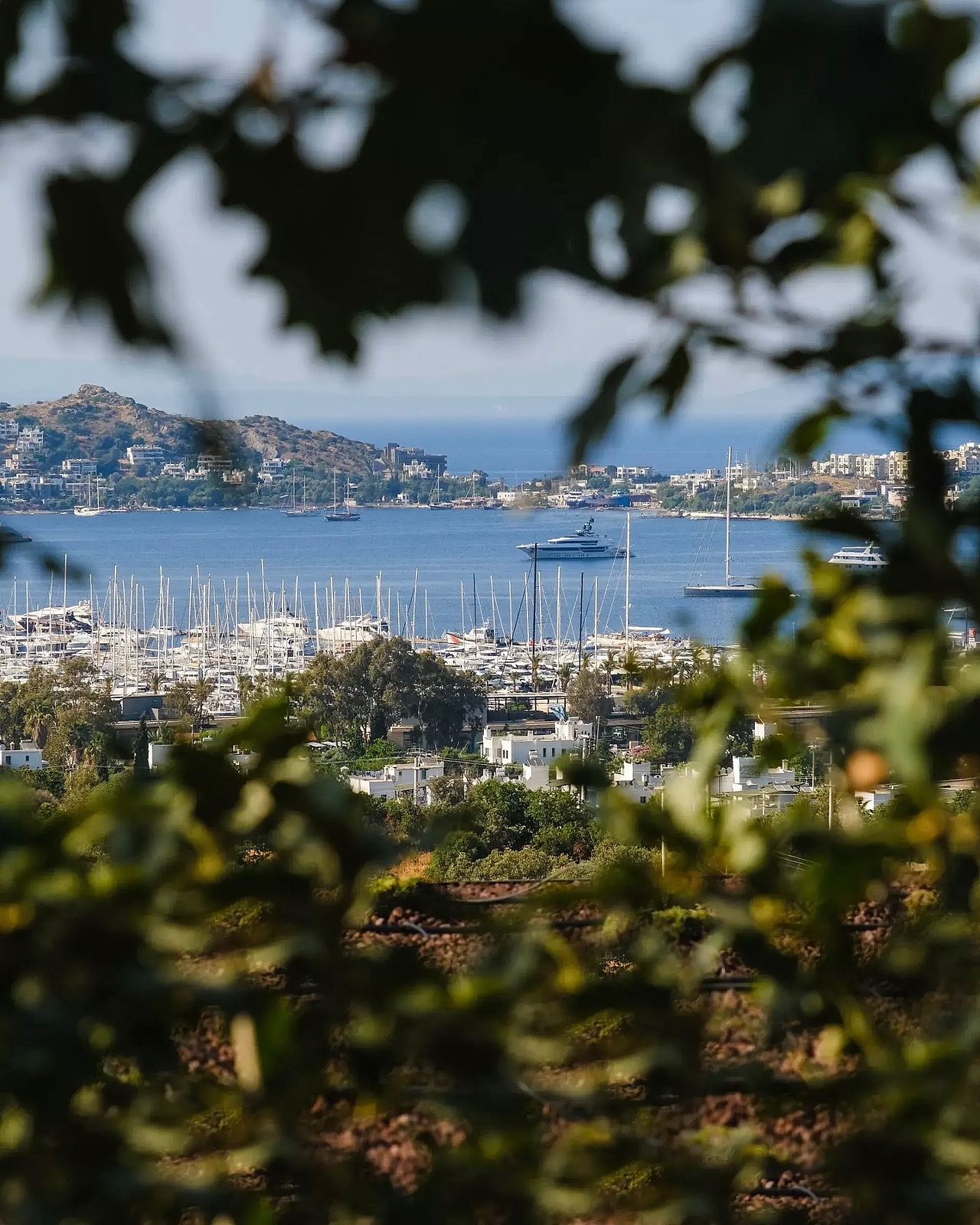 Luxury Hotel Design (建筑师)（图ZMzk0NDk5MDA0） - 酒店餐饮设计 - 站酷设计师Nelson_architect原创素材 - 站酷ZCOOL