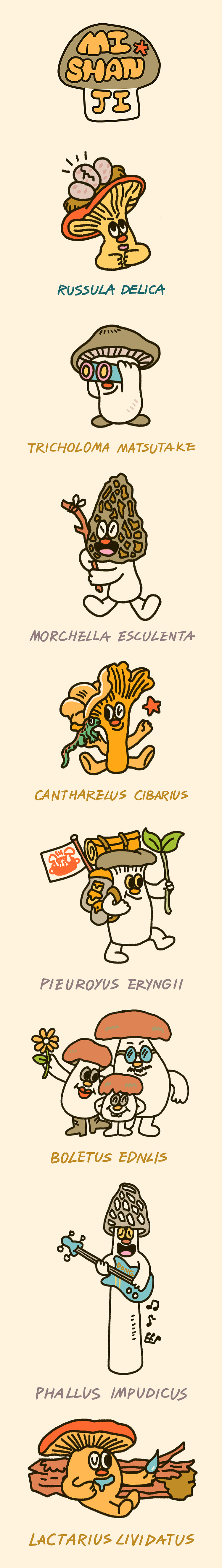 觅山记 x FEITUFEI 插画