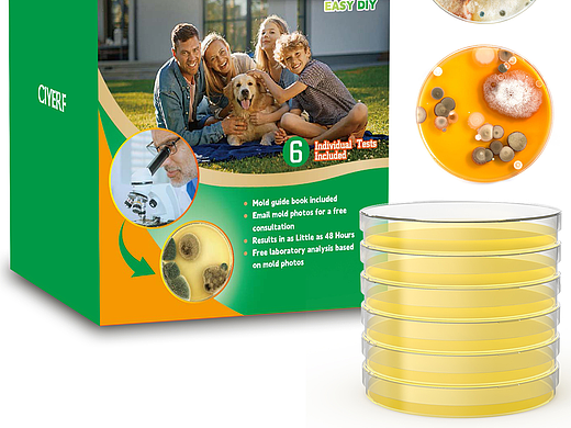 Amazon_科学仪器_霉菌培养皿_主图_A+_作图流程