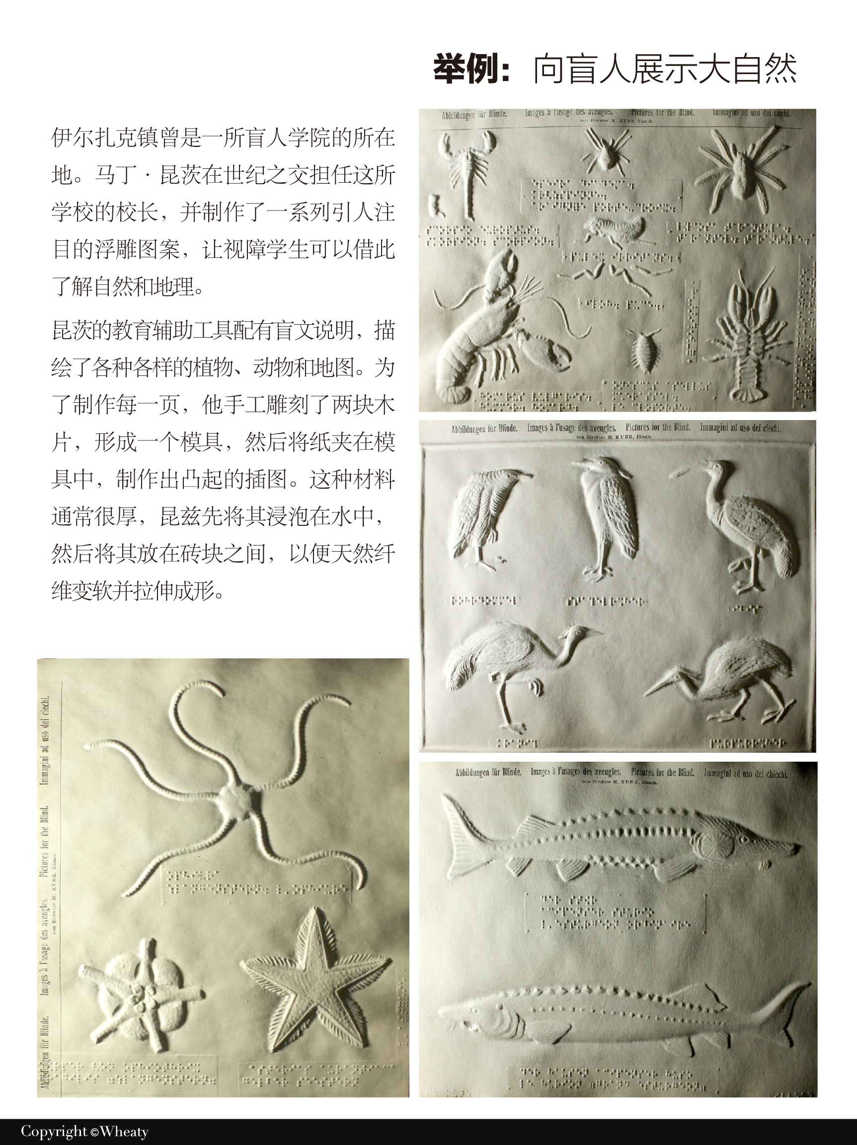 语言媒介作为新文创设计灵感 | 全面解析（图ZMTUxNzczNTI=） - 观点 - 站酷设计师三一設計Wheaty原创素材 - 站酷ZCOOL