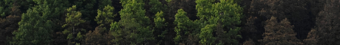 休眠池鱼的个人主页（封面预览） - 主页封面设置 - 站酷设计师休眠池鱼原创素材 - 站酷ZCOOL