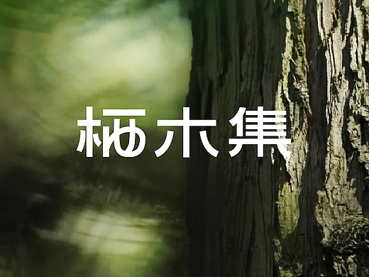 “木隐于林，沐归于心”｜栖木集沐浴油品牌全案设计