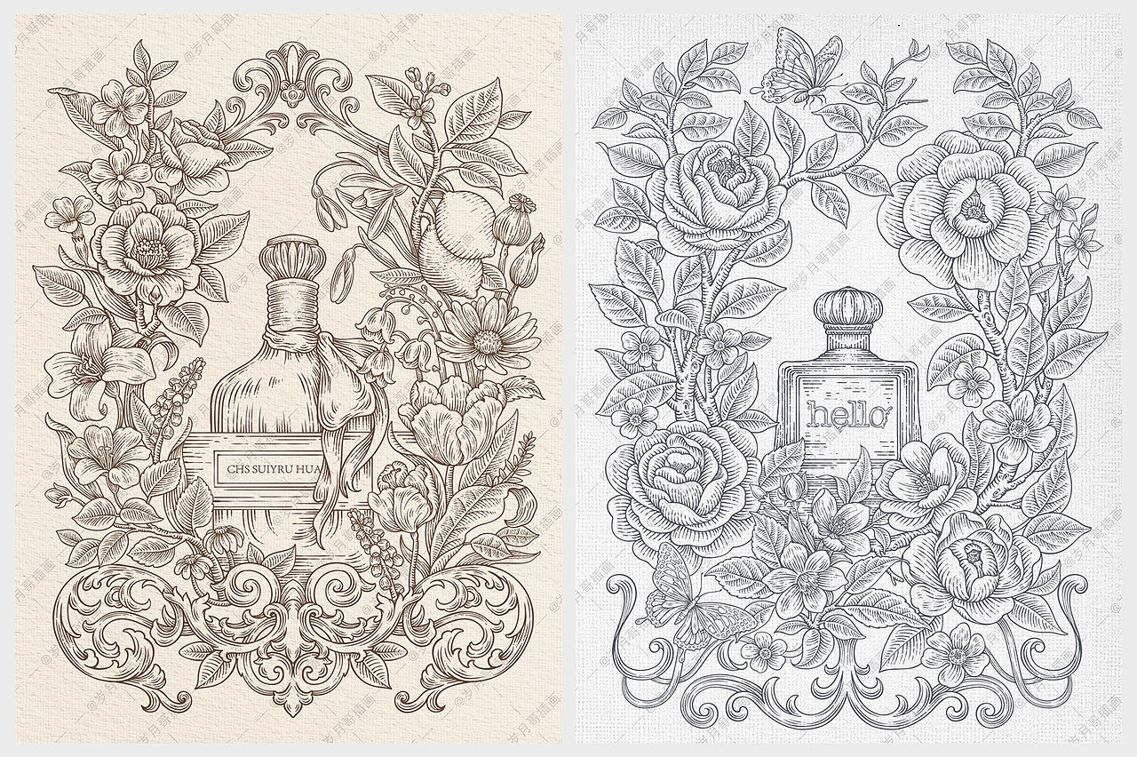 插画线稿丨品牌矢量版画线性插画设计