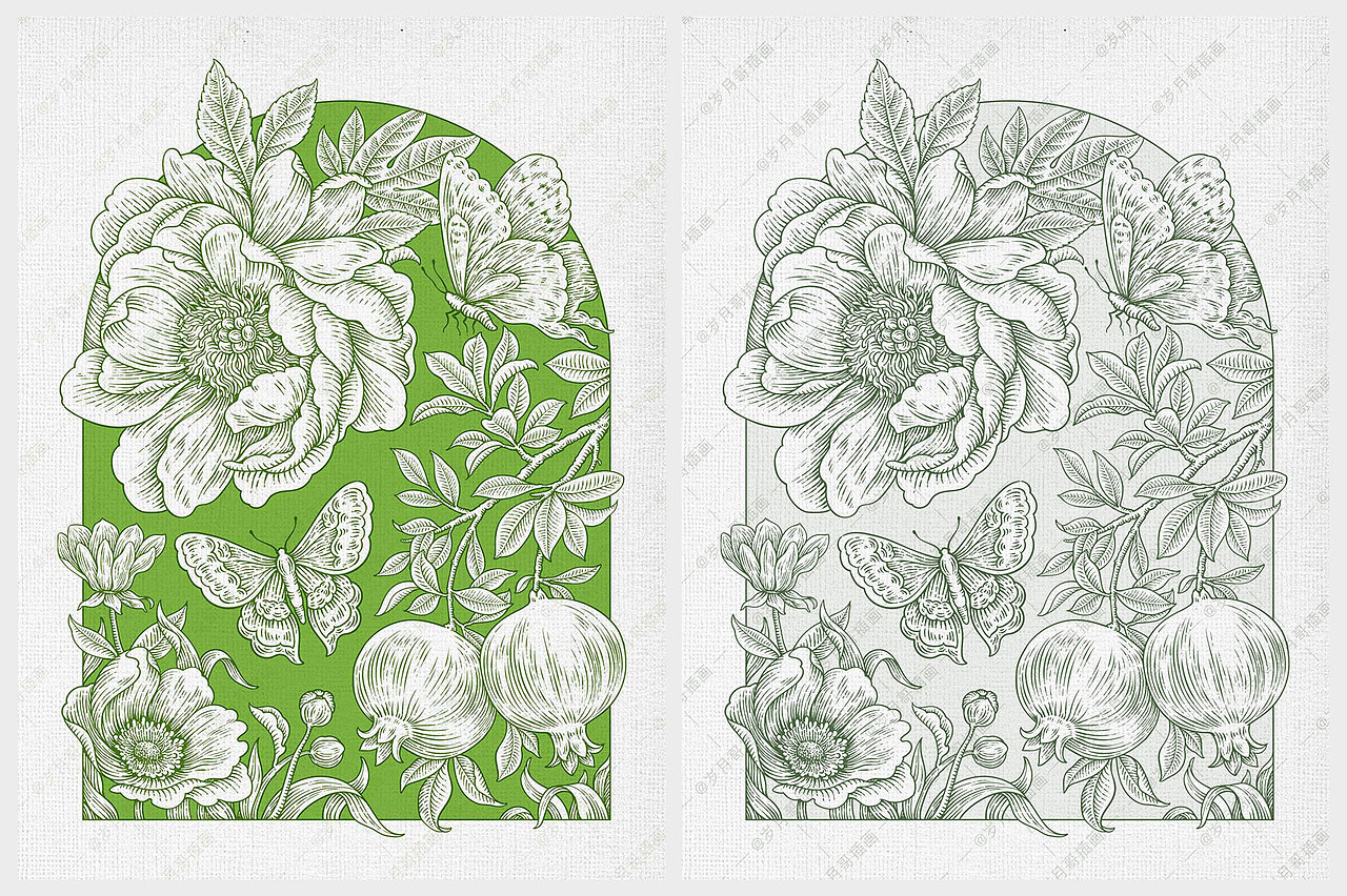 插画线稿丨品牌矢量版画线性插画设计