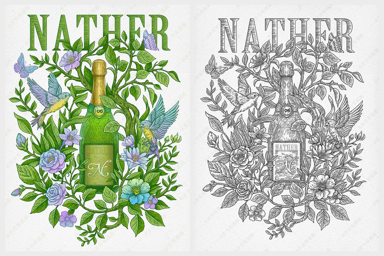 插画线稿丨品牌矢量版画线性插画设计