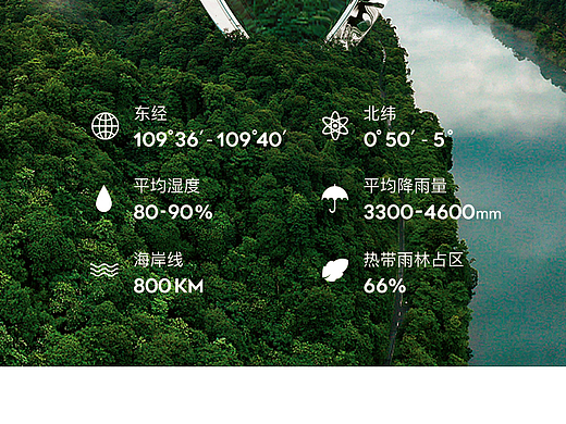 燕窝详情页