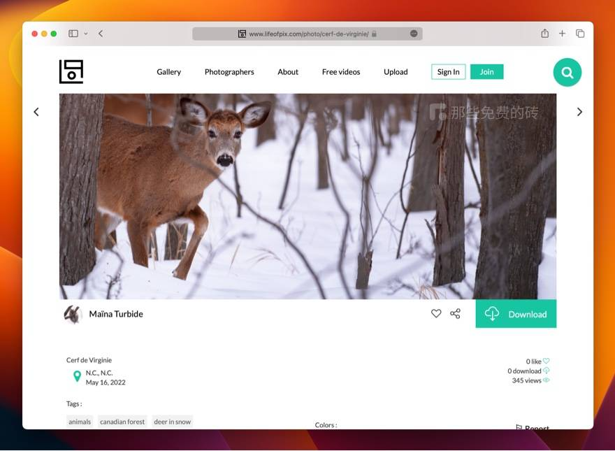 LifeOfPix - 极具个性化的摄影社区，提供免费商用图片下载，多为生活日常场景