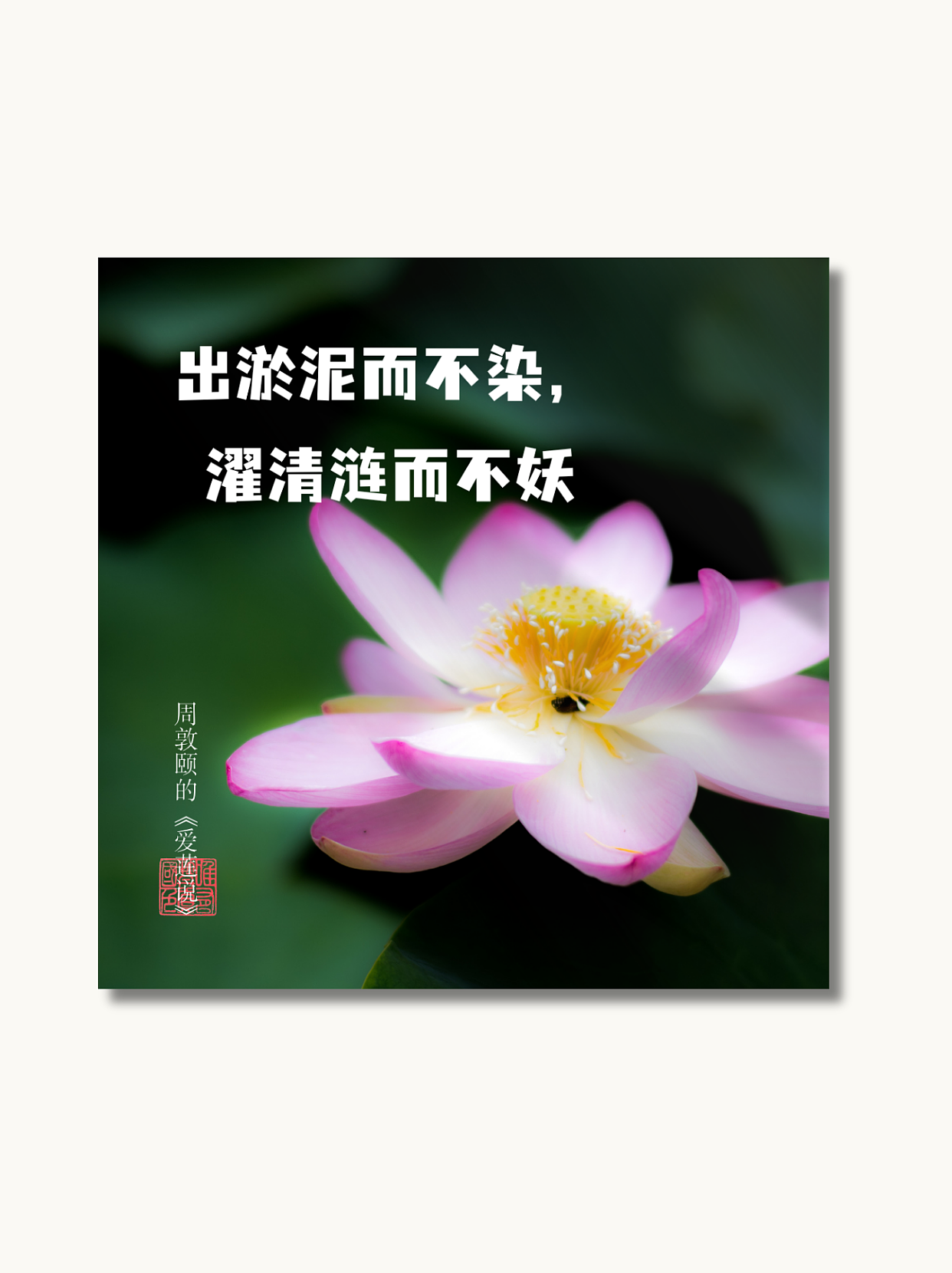花语光影 | 简约排版海报