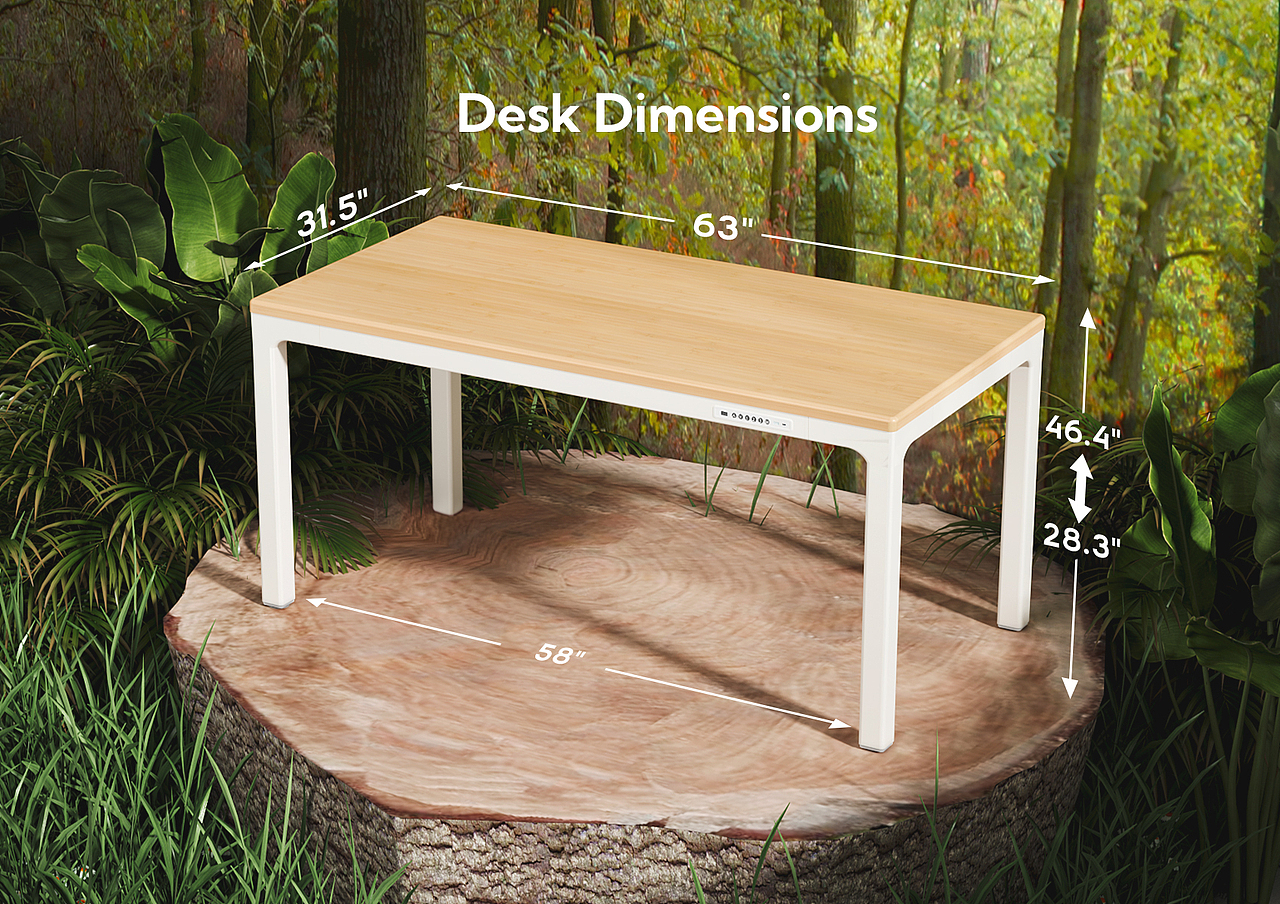 Amazon | INNOVAR 四电机升降桌