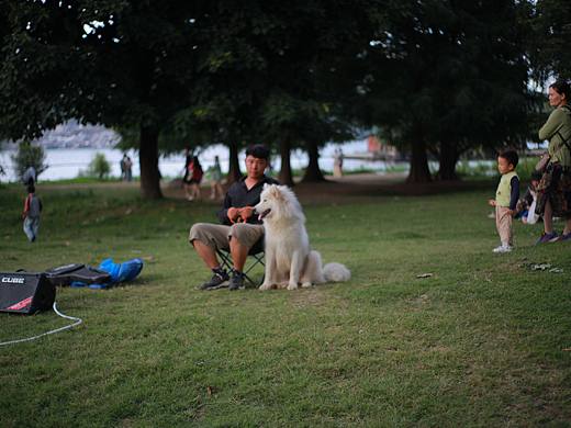 在洱海边拍到的小狗