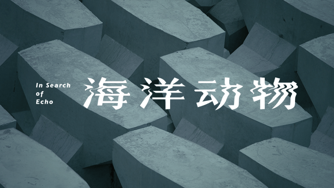案例合辑｜回顾一下我们做过的设计（图ZMTUxNzg0NjQ=） - 观点 - 站酷设计师CES设计咨询原创素材 - 站酷ZCOOL