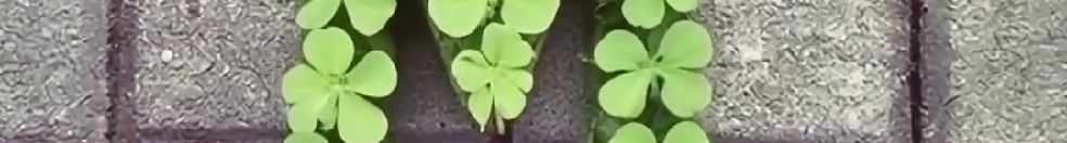 Z758511715的个人主页（封面预览） - 主页封面设置 - 站酷设计师Z758511715原创素材 - 站酷ZCOOL