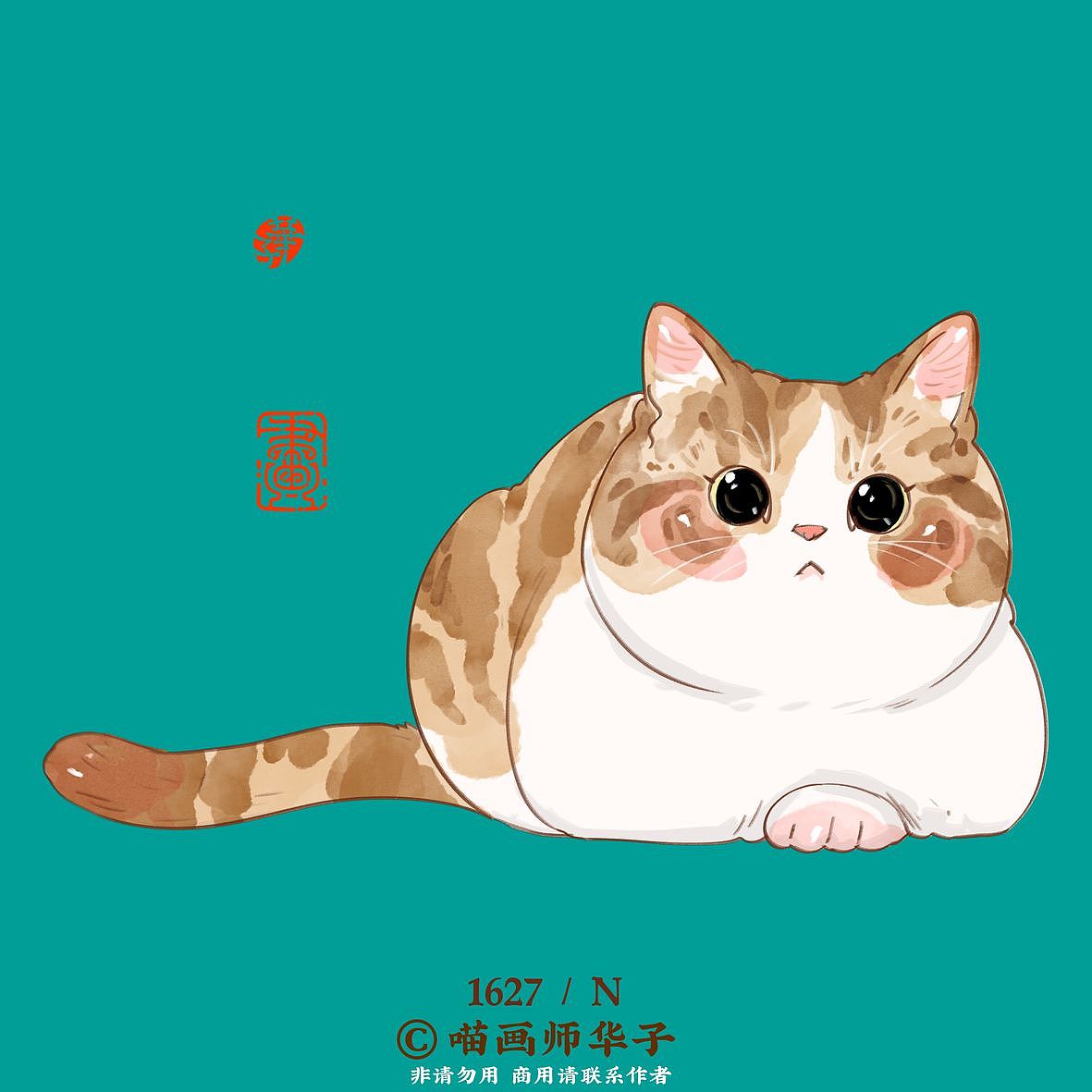 画猫的1650天记录!第六季更新开始啦!