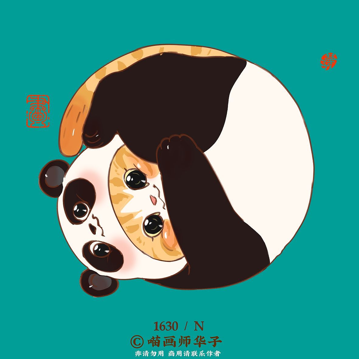 画猫的1650天记录!第六季更新开始啦!