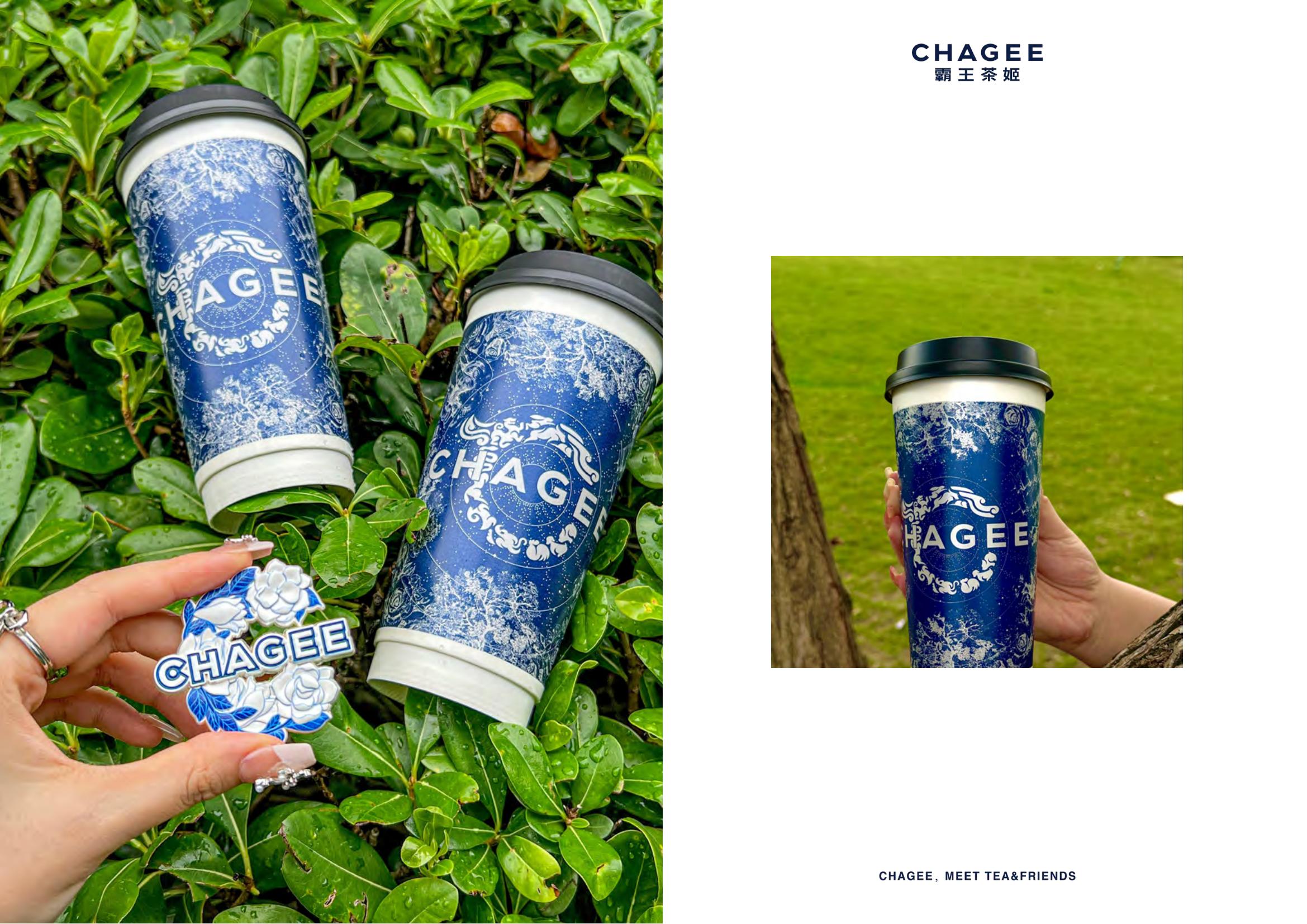 霸王茶姬品牌VI手册奶茶茶饮标志LOGO设计参考指南（图ZMTUxNzkzMTI=） - 观点 - 站酷设计师Tushine图象灵感原创素材 - 站酷ZCOOL