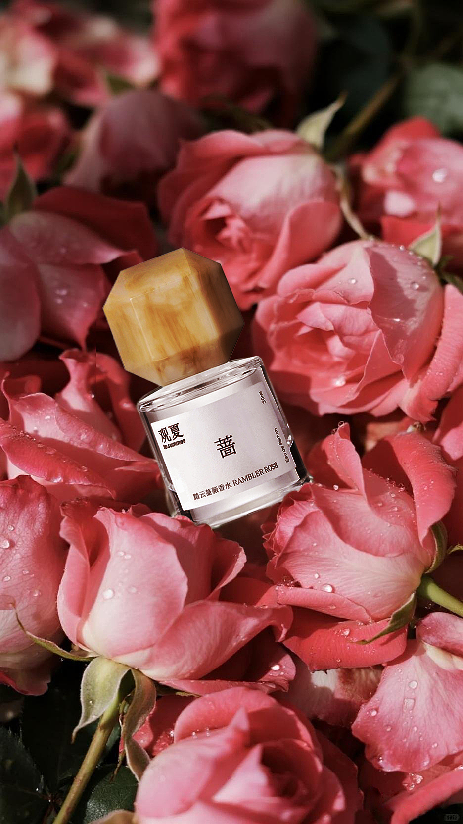 观夏香水-踏云蔷薇 AI商业广告（图ZMzk0NTkyODA0） - AI作品 - 站酷设计师阿星AX原创素材 - 站酷ZCOOL
