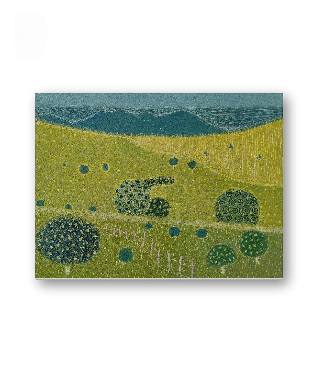 太阳天或下雨天