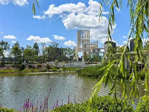 夏日湖边自然风景