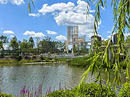 夏日湖边自然风景