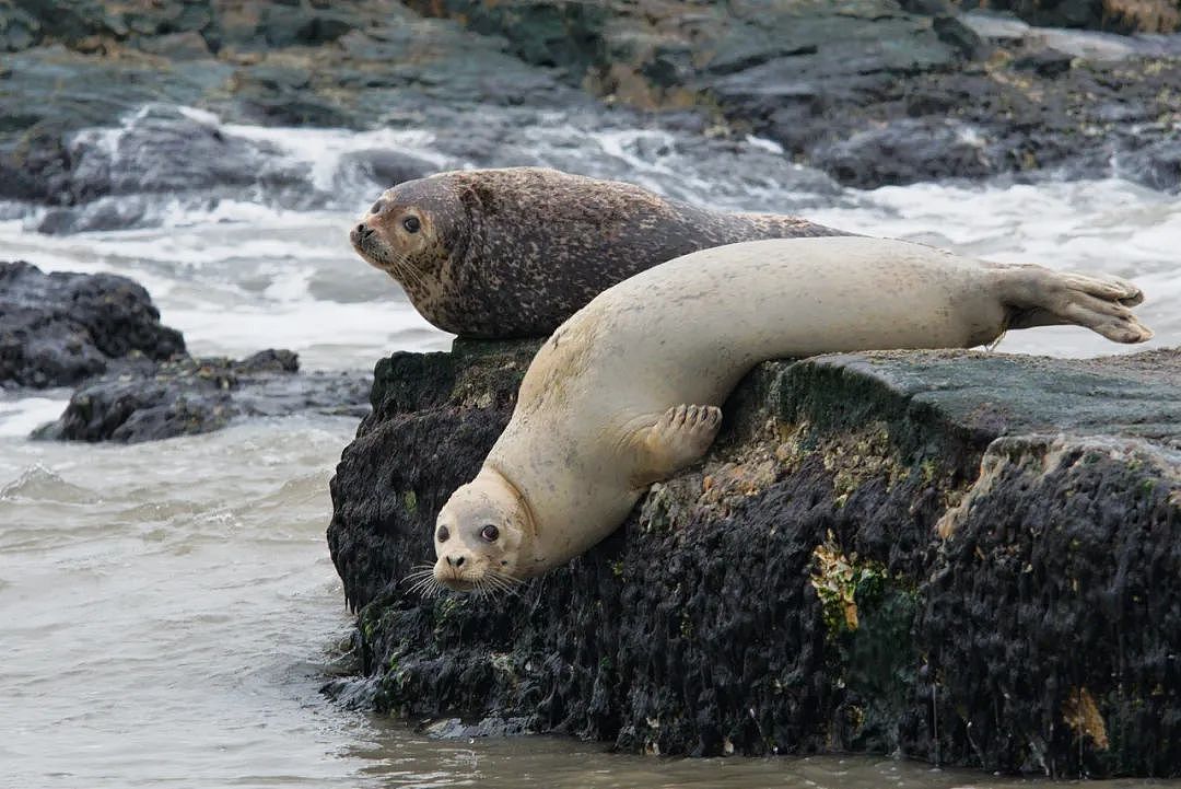 从记录自然到国际奖台，只差一次投稿！（图ZMzk0NjA0NzMy） - 其他摄影 - 站酷设计师CWIVC影像年赛原创素材 - 站酷ZCOOL