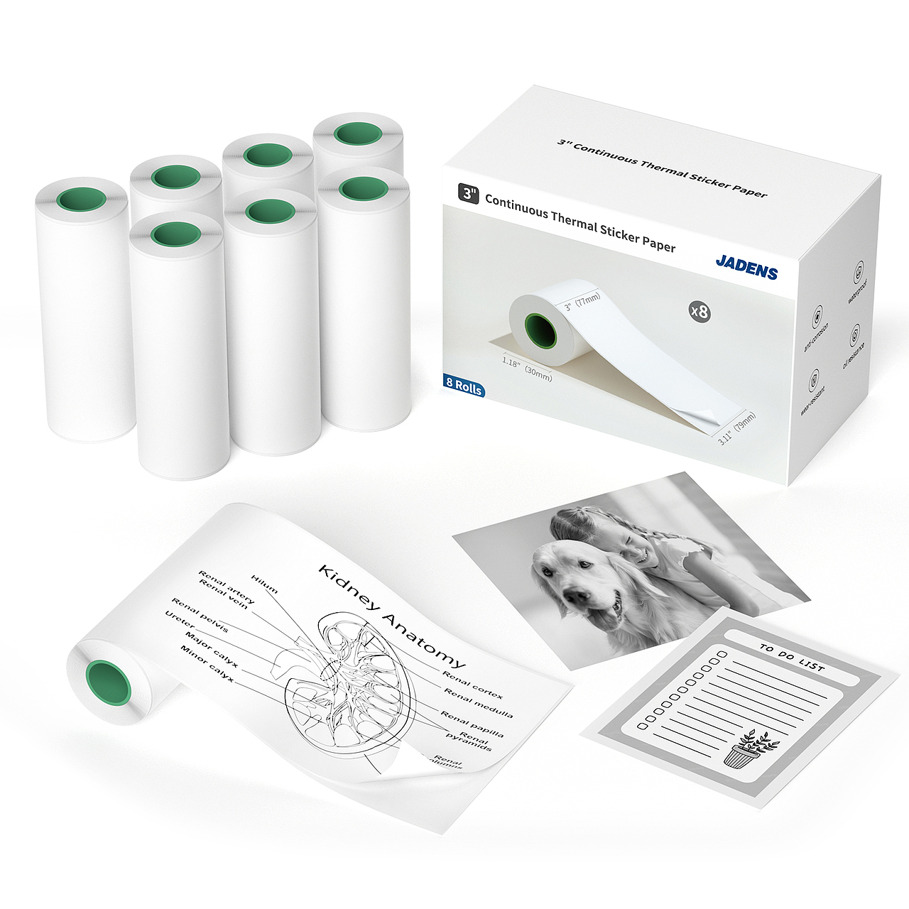 3" Continuous Thermal Sticker Paper