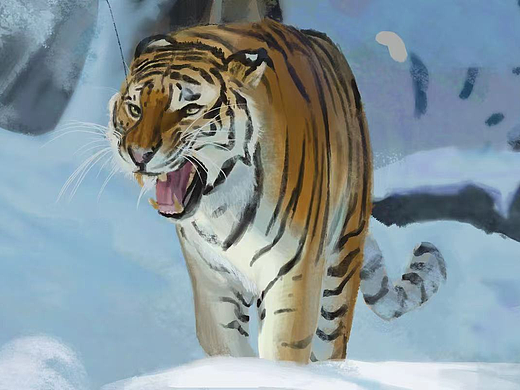 场景类照片练习