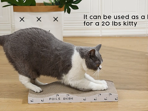 亚马逊-猫抓板产品视频