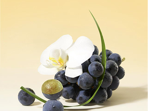 奈雪的茶×春生生画｜茶饮原料摄影·「看见」水果本味