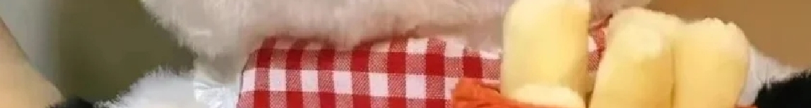 O夾心餅干的個人主頁（封面預覽） - 主頁封面設置 - 站酷設計師O夾心餅干原創(chuàng)素材 - 站酷ZCOOL