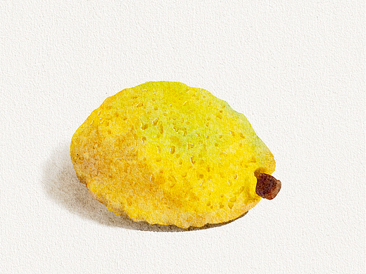 中式酥点水彩插画（已商用）