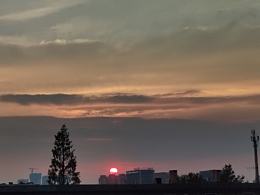 看看你拍的夏天