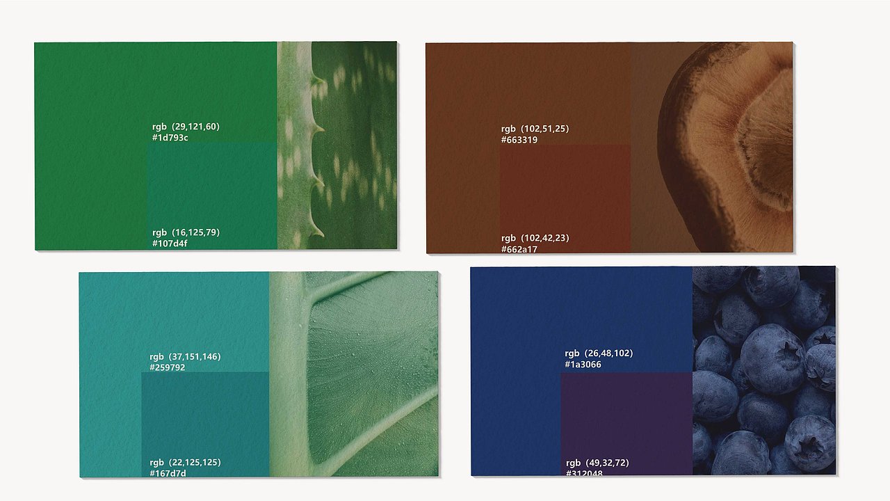 中医代茶饮原创品牌设计-回甘集（图ZMzk0NjY3ODg4） - 品牌 - 站酷设计师HHharperrr原创素材 - 站酷ZCOOL