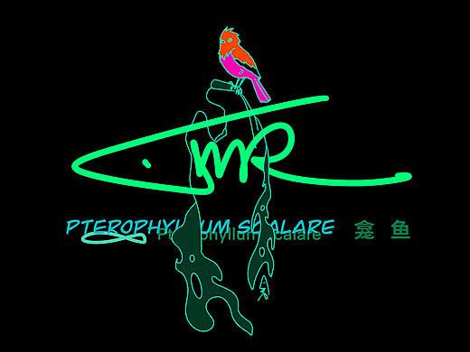 《BIRD》-龛鱼